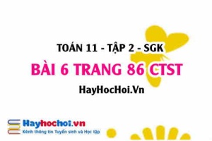 Bài 6 trang 86 Toán 11 tập 2 Chân trời sáng tạo